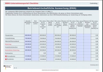 BWA-Vorlage - PDF-Formular für eine betriebswirtschaftliche Auswertung